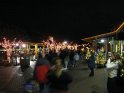 Toledo Zoo Lights 2008 004